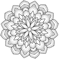 Complete Sacred Geometry Procreate Bundle - Vol. 1 (150 Brushes)