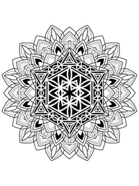 Sacred Mandalas Digital Collection - Vol. 2 (99 Designs)