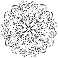 Complete Sacred Geometry Procreate Bundle - Vol. 1 (150 Brushes)